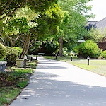 Image of Windsor Point Senior Living (5)