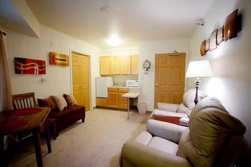Living Room & Kitchenette Includes Mini Fridge & Microwave