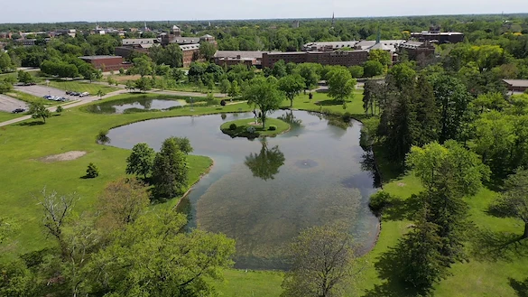 Image of Saint Therese at IHM Senior Living (1)
