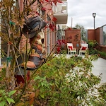 Image of The Village of the Heights (10)