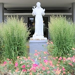 Image of St. Francis Woods (7)