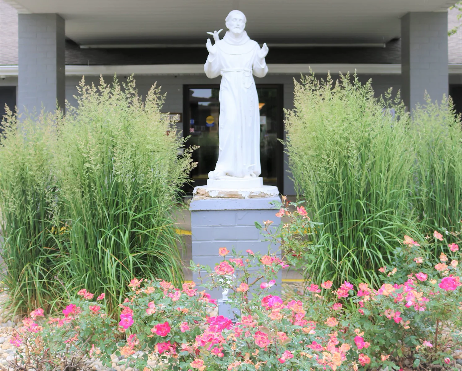 Image of St. Francis Woods (7)