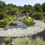 Image of Brandywine Moorestown Estates (10)