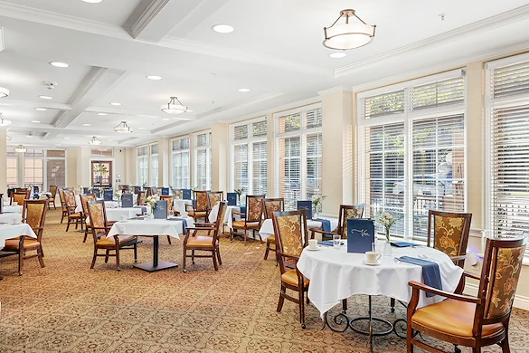 Image of Ivy Park at Studio City (4)