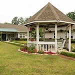 Image of Meadow Spring (9)