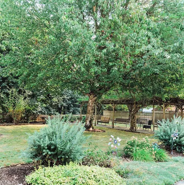 Image of Wiley Creek Senior Living (8)