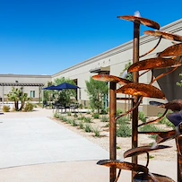 Image of Trellis Paradise (2)