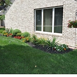 Image of White Orchid Adult Family Home (7)