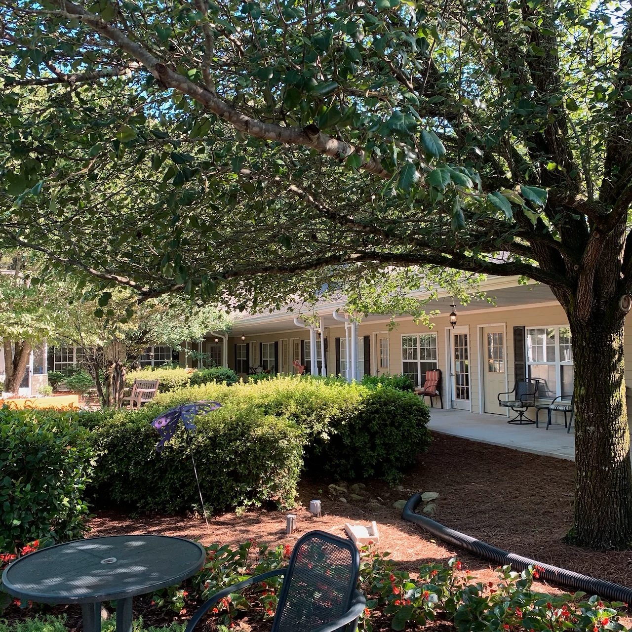 Image of Sunabella of Towne Lake (3)