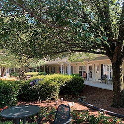 Image of Sunabella of Towne Lake (3)