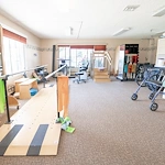 Image of Willow Tree (5)