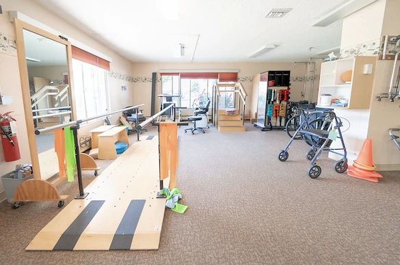 Image of Willow Tree (5)