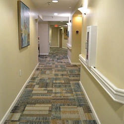 Image of The Palmettos of Charleston (2)
