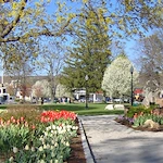 Image of Lunabrook Village Torrington/Litchfield (6)