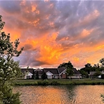 Image of Wesleyan Meadows (5)