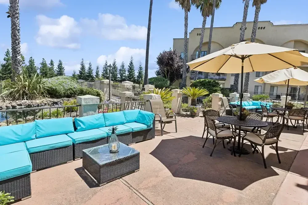 Image of Rio Las Palmas (7)