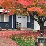 Serenity of Fall Season at our Home!