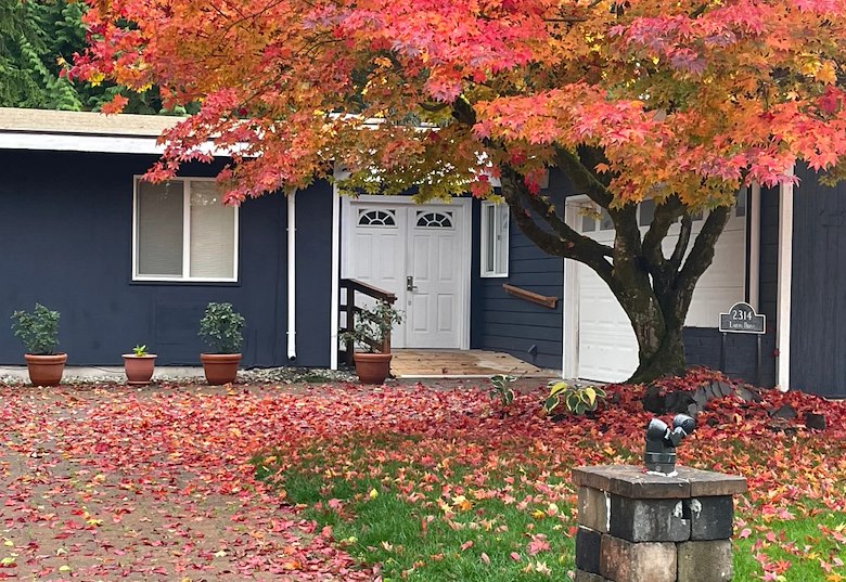 Serenity of Fall Season at our Home!