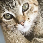 Image of Martin-Boyd Christian Home (10)