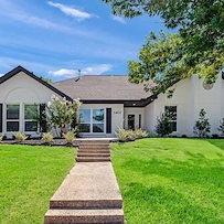 Image of Silver Leaf Rowlett (1)