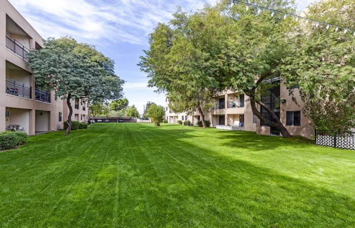 Image of The Rehabilitation Center At The Palazzo (1)