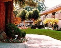 Image of Redwood Villa (2)