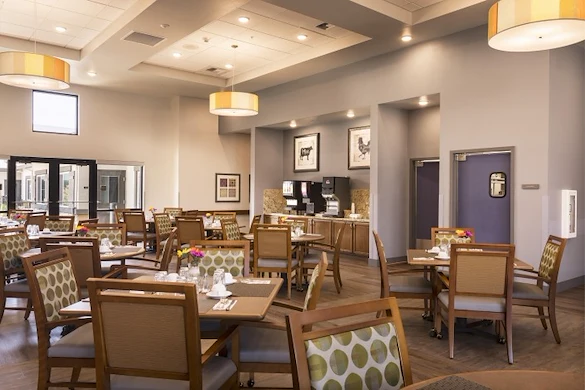 Image of Ivy Park at San Lauren (6)