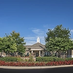 Image of Autumn Leaves of Orland Park (3)