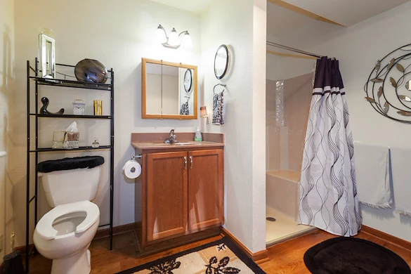 Accessible assisted living bathroom with walk-in shower at Charter Senior Living of Hasmer Lake in Jackson, WI, designed for safety, comfort, and convenience.