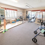 Image of Willow Tree (6)