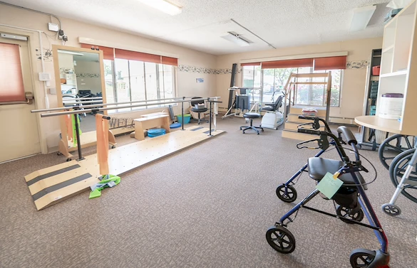 Image of Willow Tree (6)