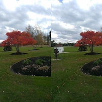 Image of Eden Heights of Eden (5)