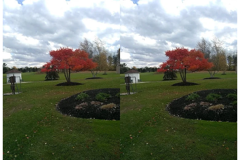 Image of Eden Heights of Eden (5)