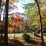 Image of St. Joseph's Home for the Aged (9)