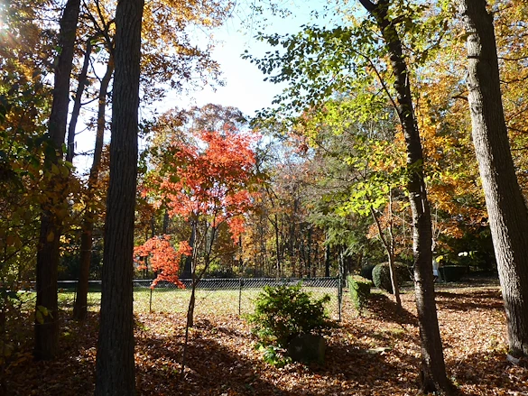 Image of St. Joseph's Home for the Aged (9)