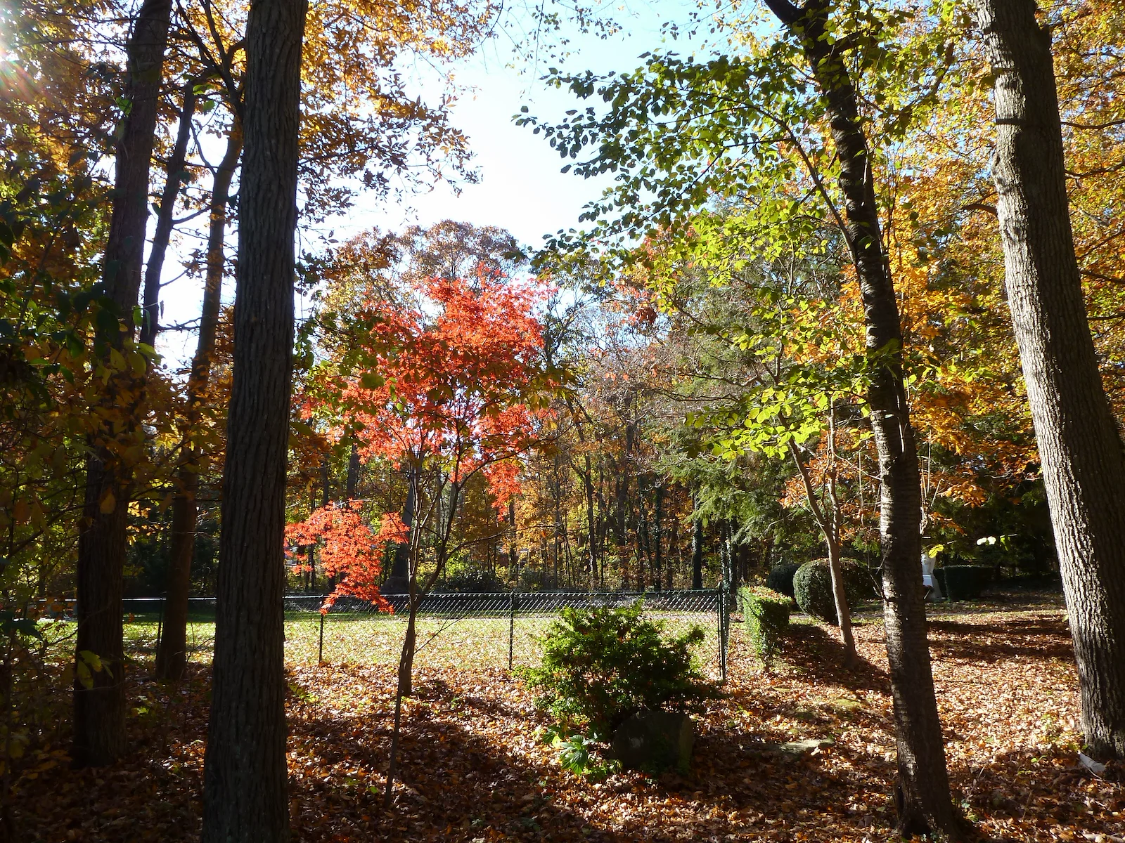 Image of St. Joseph's Home for the Aged (9)