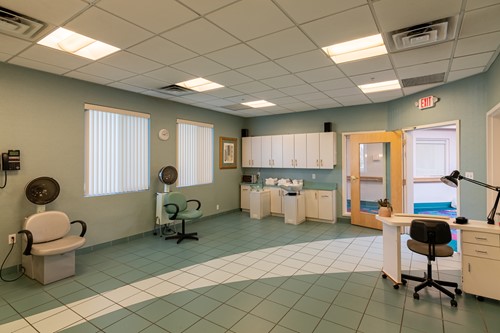 Image of Oasis Nursing & Rehab Of Green Valley (8)