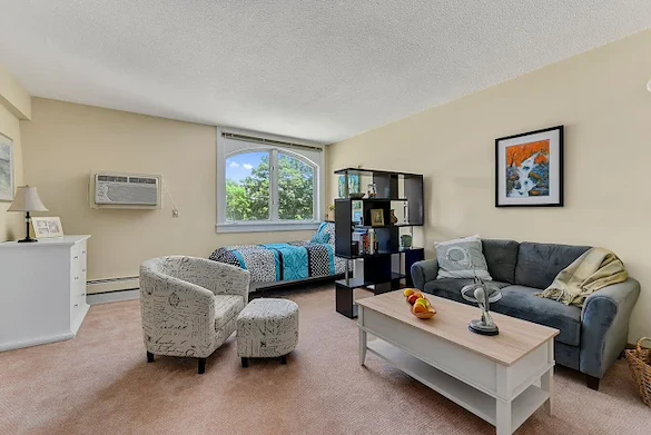 Image of The Springvale Inn (2)