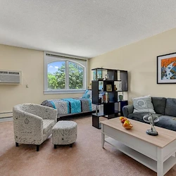 Image of The Springvale Inn (2)