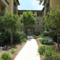 Image of The Haven At Tapo Street Senior Apartment Homes (3)