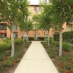 Image of Sungrove Senior Apartment Homes (5)