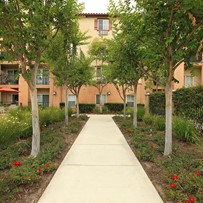 Image of Sungrove Senior Apartment Homes (5)