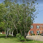 Image of Stellar Care Center (1)