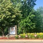 Image of Vibrant Life - Jackman Lodge (1)