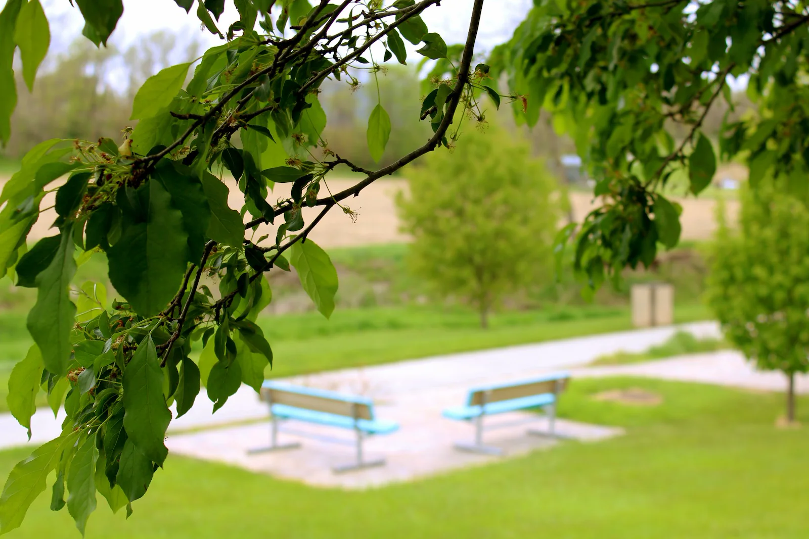 Image of Accura HealthCare of Stanton (3)