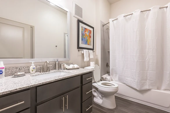 Image of The Luxe at Cedar Hill (8)