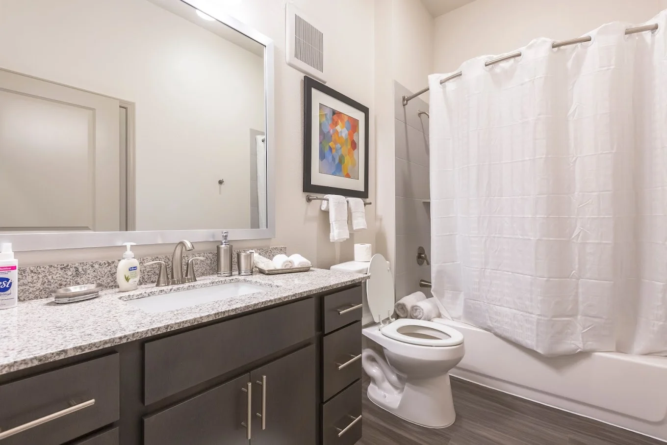 Image of The Luxe at Cedar Hill (8)