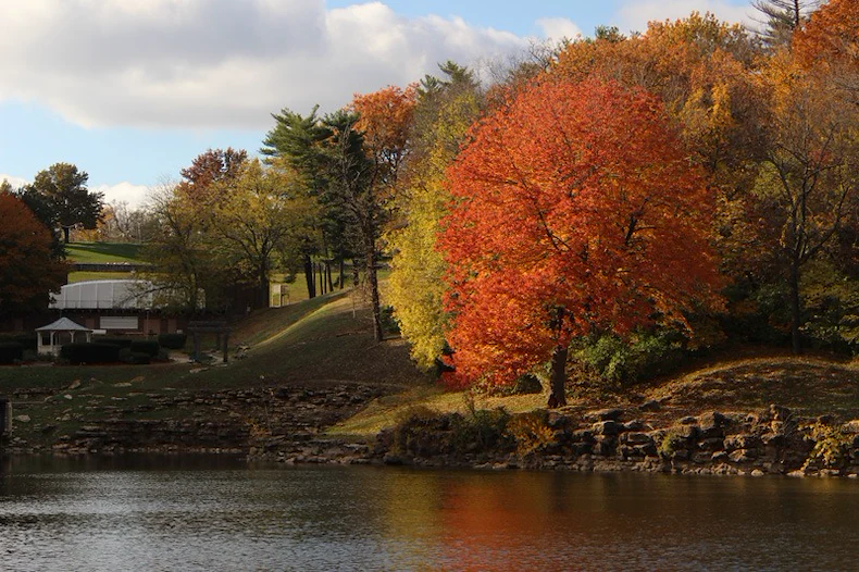 Image of Connect55+ St. Joseph - Coming Soon (3)