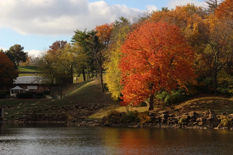 Image of Connect55+ St. Joseph - Coming Soon (3)