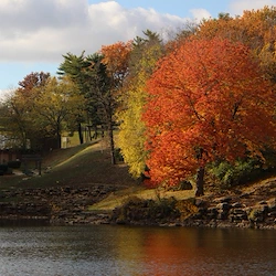 Image of Connect55+ St. Joseph - Coming Soon (3)